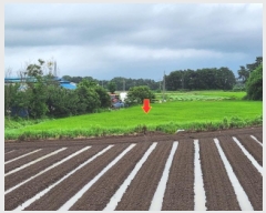  2025Ÿ��30315 ���� �ξȱ� ��ȭ�� â�ϸ� 253-5      ����(��)���