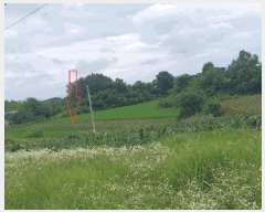  2025Ÿ��30331  �����