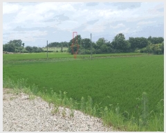  2025Ÿ��30331  �����