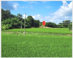  2025Ÿ��30331  �����