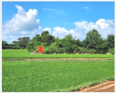  2025Ÿ��30331  �����