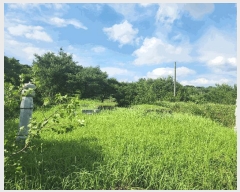  2025Ÿ��30334 ���� ��â�� �Ÿ��� ��ȭ�� 351-2      ����(��1)���