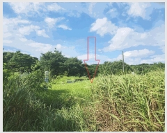  2025Ÿ��30334 ���� ��â�� �Ÿ��� ��ȭ�� 351-2      ����(��1)���