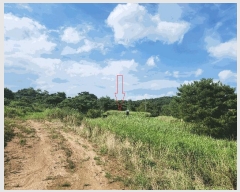  2025Ÿ��30334 ���� ��â�� �Ÿ��� ��ȭ�� 351-2      ����(��1)���