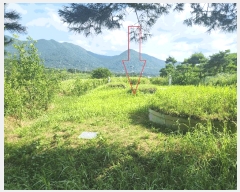  2025Ÿ��30334 ���� ��â�� �Ÿ��� ��ȭ�� 351-2      ����(��1)���