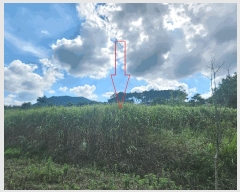  2025Ÿ��30334 ���� ��â�� �Ÿ��� ��ȭ�� 351-2      ����(��1)���