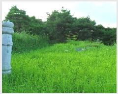  2025Ÿ��30334 ���� ��â�� �Ÿ��� ��ȭ�� 351-2      ����(��1)���