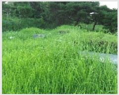  2025Ÿ��30334 ���� ��â�� �Ÿ��� ��ȭ�� 351-2      ����(��1)���