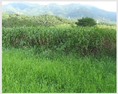  2025Ÿ��30334 ���� ��â�� �Ÿ��� ��ȭ�� 351-2      ����(��1)���