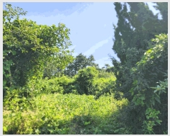  2025Ÿ��30337 ���� �ξȱ� ����� ������ 43-29      ����(�Ӿ�)���