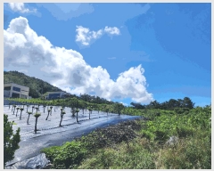  2025Ÿ��30337 ���� �ξȱ� ����� ������ 43-29      ����(�Ӿ�)���