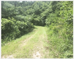  2025Ÿ��30340  �Ӿ߰��