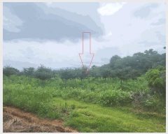  2025Ÿ��30340  �Ӿ߰��