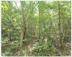  2025Ÿ��30340  �Ӿ߰��