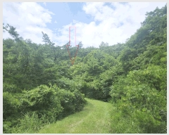  2025Ÿ��30340  �Ӿ߰��