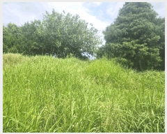  2025Ÿ��30340  �Ӿ߰��