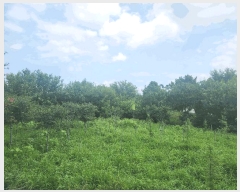  2025Ÿ��30340  �Ӿ߰��