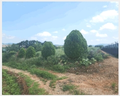  2025Ÿ��30347 ���� ��â�� �ξȸ� ���Ӹ� 500-15      ����(�Ӿ�)���