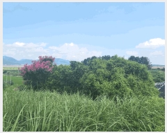  2025Ÿ��30347 ���� ��â�� �ξȸ� ���Ӹ� 500-15      ����(�Ӿ�)���