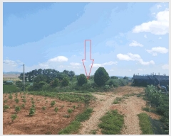  2025Ÿ��30347 ���� ��â�� �ξȸ� ���Ӹ� 500-15      ����(�Ӿ�)���