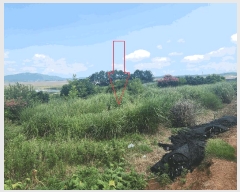  2025Ÿ��30347 ���� ��â�� �ξȸ� ���Ӹ� 500-15      ����(�Ӿ�)���