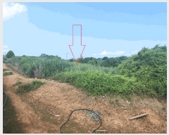  2025Ÿ��30347 ���� ��â�� �ξȸ� ���Ӹ� 500-15      ����(�Ӿ�)���