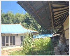  2025Ÿ��30409  �������