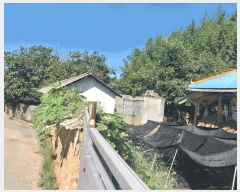  2025Ÿ��30409  �������