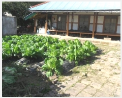  2025Ÿ��30409  �������