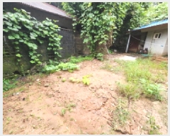  2025Ÿ��30412 ���� ������ ��õ�� ���и� 525-1      ����(����)���