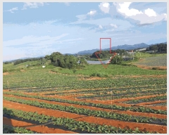  2025Ÿ��30419 ���� ��â�� ����� ��ݸ� 815-7      ����(��1)���