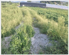  2025Ÿ��30419 ���� ��â�� ����� ��ݸ� 815-7      ����(��1)���