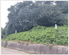  2025Ÿ��30419 ���� �ξȱ� ������ ���긮 737-1      ����(�Ӿ�)���