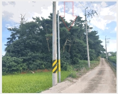  2025Ÿ��30419 ���� �ξȱ� ������ ���긮 737-1      ����(�Ӿ�)���