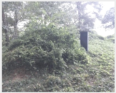  2025Ÿ��30419 ���� �ξȱ� ������ ���긮 737-1      ����(�Ӿ�)���