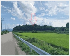  2025Ÿ��30419 ���� �ξȱ� ������ ���긮 737-1      ����(�Ӿ�)���