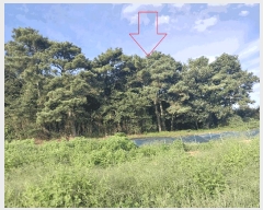  2025Ÿ��30419 ���� �ξȱ� ������ ���긮 737-1      ����(�Ӿ�)���