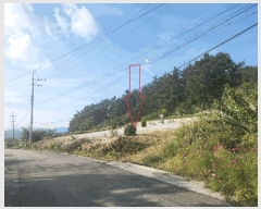  2025Ÿ��30444  �����