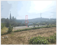  2025Ÿ��30444  �����