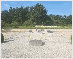  2025Ÿ��30444  �����