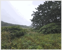  2025Ÿ��30448 ���� �ξȱ� ��ȭ�� �Ǻ��� 483-1      ����(��1)���