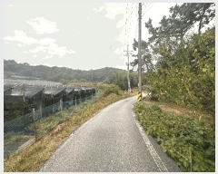  2025Ÿ��30452  �Ӿ߰��