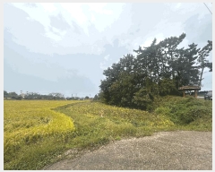  2025Ÿ��30452  �Ӿ߰��