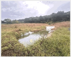  2025Ÿ��30452  �Ӿ߰��