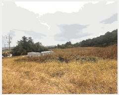  2025Ÿ��30452  �Ӿ߰��