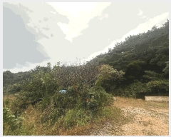  2025Ÿ��30452  �Ӿ߰��