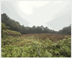  2025Ÿ��30452  �Ӿ߰��