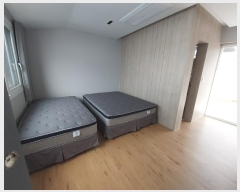  2025Ÿ��52  ���ڽü����