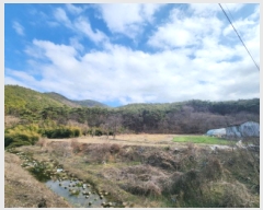  2025Ÿ113  ξȱ 󼭸  39      (Ӿ)