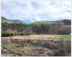  2025Ÿ113  ξȱ 󼭸  39      (Ӿ)